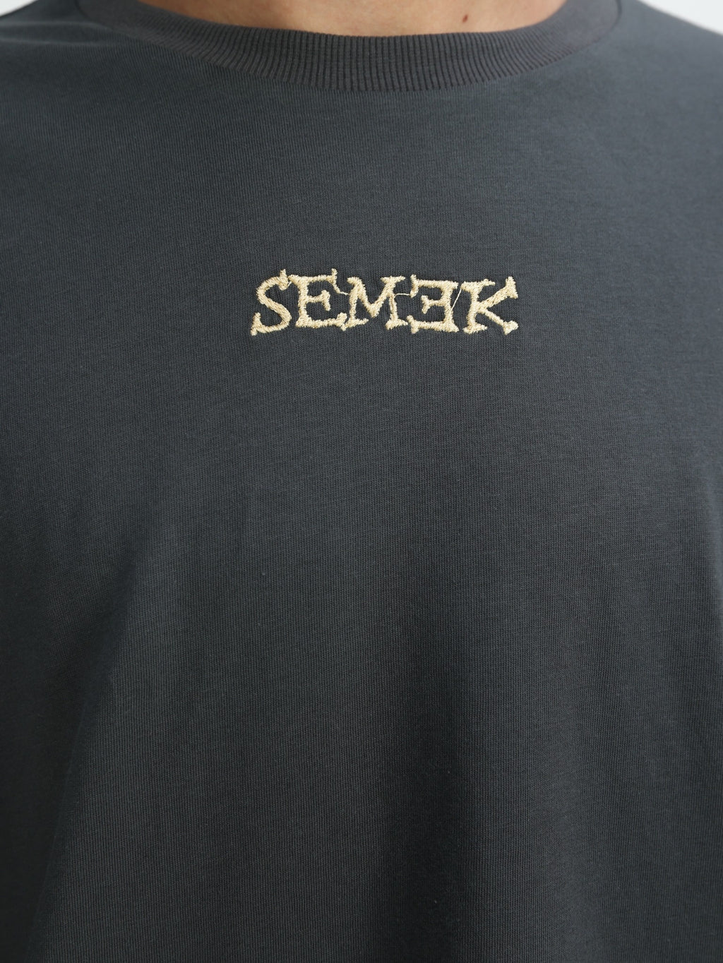 MENTAL FREEDOM- GREY T SHIRT