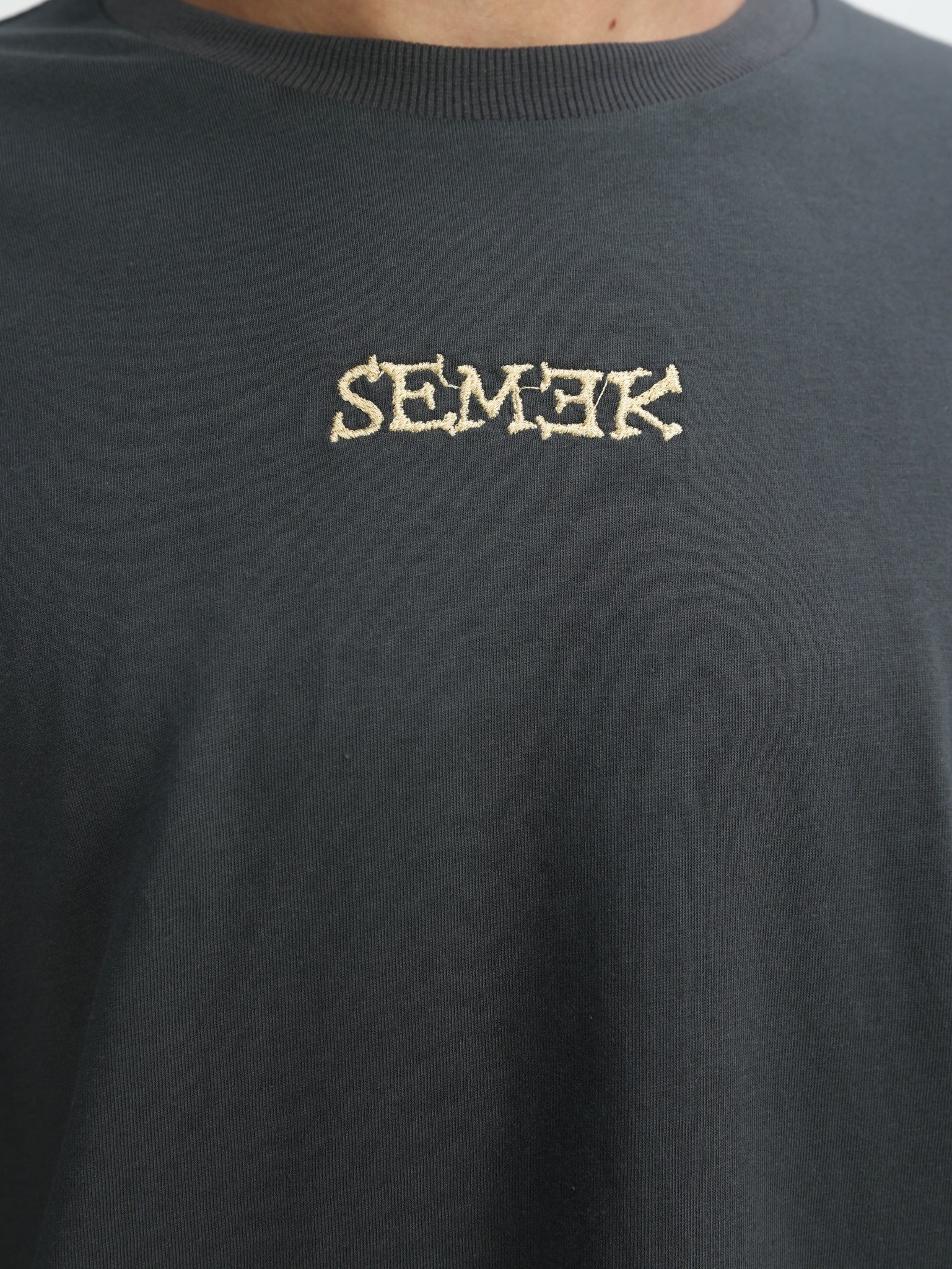 MENTAL FREEDOM- GREY T SHIRT